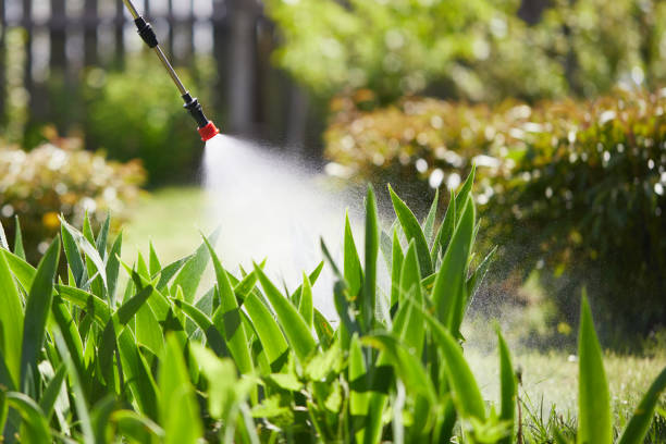 Tamper-Resistant Bait Stations for Rodents in North Richmond