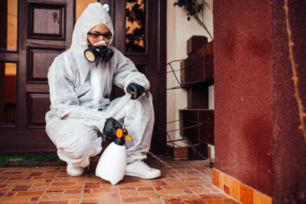 Attic and Crawl Space Rodent Treatment in North Richmond
